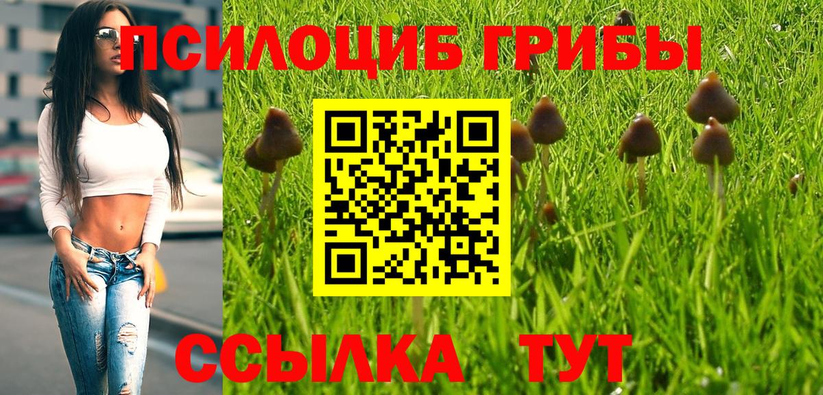 Псилоцибиновые грибы MAGIC MUSHROOMS Черногорск